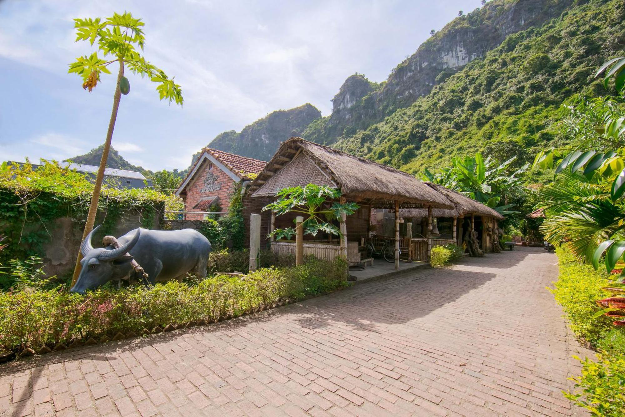Viet Hai Lan Homestay Trung Trang 외부 사진
